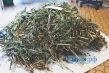 выкса.рф, Более 1,5 кг марихуаны изъяли у выксунца