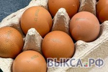 выкса.рф, Нижегородская область впервые экспортировала куриные яйца в Киргизию