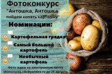 выкса.рф, Фотоконкурс «Антошка, Антошка, пойдём копать картошку»