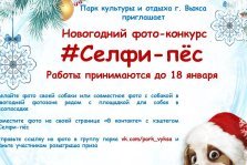выкса.рф, Новогодний фотоконкурс «Селфи-пёс»
