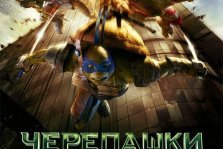 выкса.рф, Черепашки ниндзя