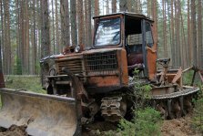 выкса.рф, Лесной пожар у поселка Стрелка мог произойти в результате заноса огня