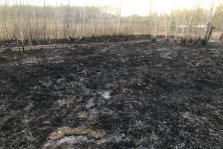 выкса.рф, Более 1 000 м² сухой травы сгорели в Мотмосе и Ближне-Песочном