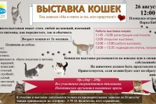 выкса.рф, Выставка кошек в парке КиО