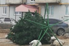 выкса.рф, Ветер повалил новогоднюю ёлку в Мотмосе