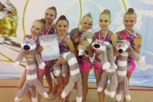 выкса.рф, Выксунские гимнастки привезли «золотые» награды из Обнинска