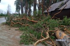 выкса.рф, Ураган повалил деревья в Выксе