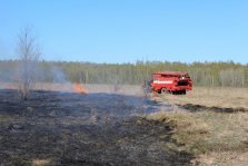 выкса.рф, В Нижегородской области снизилось количество лесных пожаров