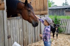 выкса.рф, Нужны волонтёры для благоустройства конного манежа