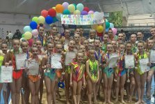 выкса.рф, Грация, гибкость и победа: в Выксе прошли соревнования «Весенние первоцветы»