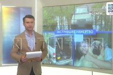 выкса.рф, Кстати: застрявшие замертво