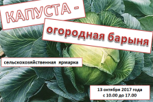 выкса.рф, Сельскохозяйственная ярмарка «Капуста — огородная барыня»