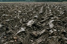 выкса.рф, Аграрии округа Выкса вышли в поля