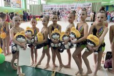 выкса.рф, Юные гимнастки выиграли два золота на фестивале в Кулебаках