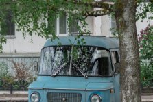 выкса.рф, Серо-зеленая весна