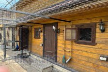 выкса.рф, Третий день в гостях: голубь ищет хозяина