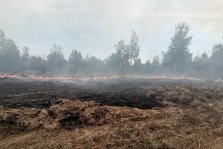 выкса.рф, В Нижегородской области ввели режим ЧС из-за лесного пожара