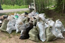 выкса.рф, Участники акции «Чистый лес» вывезли 76 кубометров мусора