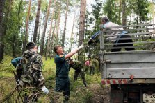 выкса.рф, В микрорайоне Жуковского провели санитарную очистку леса