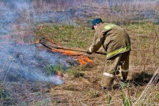 выкса.рф, В Выксе зафиксированы случаи возгорания сухой травы и мусора