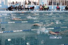 выкса.рф, Восемь золотых медалей завоевали пловцы на чемпионате округа