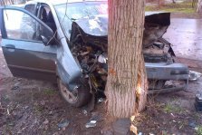 выкса.рф, Пьяный выксунец протаранил дерево на Досчатинском шоссе