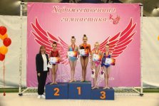 выкса.рф, «Крылья победы»: гимнастки из Выксы взлетели на пьедестал в Муроме