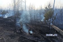 выкса.рф, Ещё два лесных пожара произошли в Выксе