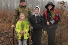 выкса.рф, В выксунском лесу стало на 1 000 сосен больше