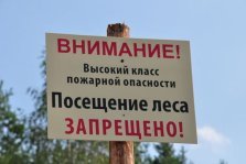 выкса.рф, Особый противопожарный режим введут в Выксе