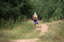 выкса.рф, 69-летняя женщина заблудилась в лесу у Полдеревки