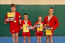 выкса.рф, Юные самбисты выиграли семь медалей во Владимире