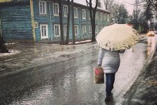 выкса.рф, Синоптики обещают сильный ветер и снег с дождём