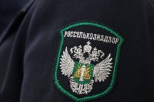 выкса.рф, Россельхознадзор выявил нарушения в учете животных в Выксе и Нижегородской области