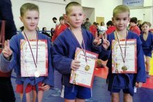 выкса.рф, Самбисты привезли три медали с турнира в Москве