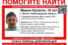 выкса.рф, Пропал 10-летний Мирон Кулагин (обновлено)