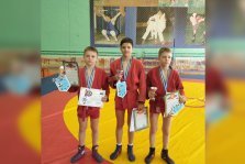 выкса.рф, Юные самбисты завоевали девять медалей на всероссийском турнире