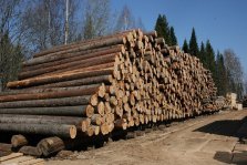выкса.рф, Власти региона хотят сделать прозрачными заготовку и продажу леса