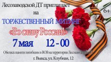 выкса.рф, Митинг «Во славу России!»