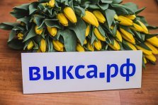 выкса.рф, Стань участником видео-поздравления к 8 марта на Выкса.РФ