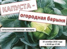 выкса.рф, Сельскохозяйственная ярмарка «Капуста — огородная барыня»