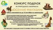 выкса.рф, Конкурс поделок «Осенние фантазии»