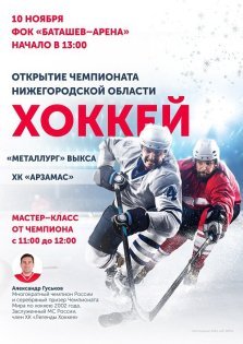 выкса.рф, Мастер-класс чемпиона России по хоккею Александра Гуськова