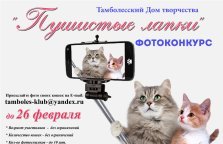 выкса.рф, Фотоконкурс «Пушистые лапки»