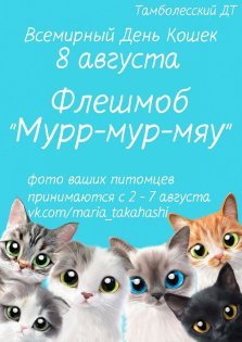 выкса.рф, Флешмоб «Мурр-мур-мяу»