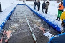 выкса.рф, Открытый чемпионат Выксы по зимнему плаванию