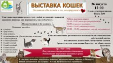 выкса.рф, Выставка кошек в парке КиО