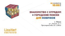 выкса.рф, Встреча с отрядом «ЛизаАлерт»