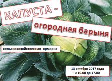 выкса.рф, Сельскохозяйственная ярмарка «Капуста — огородная барыня»