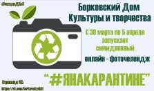 выкса.рф, Фоточеллендж «Я на карантине»